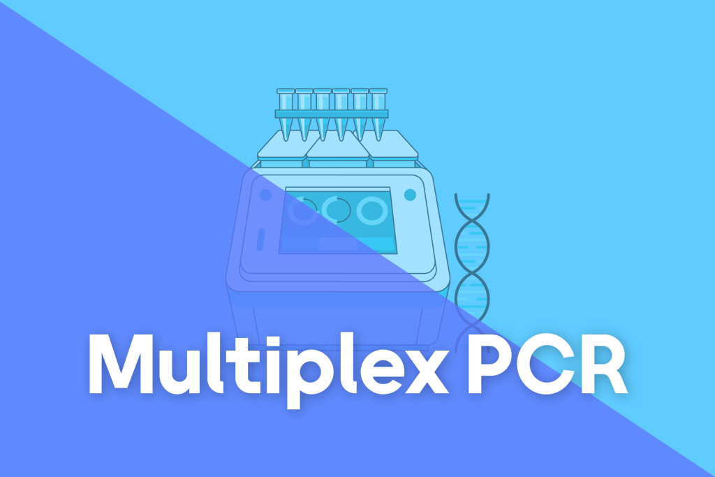 Multiplex PCR - مهرداد عامری